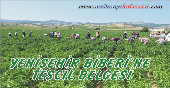 YENEHR BBERݒNE DE TESCL BELGES